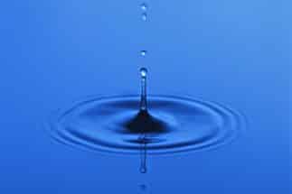 Mental Mastery leads to stillness of mind