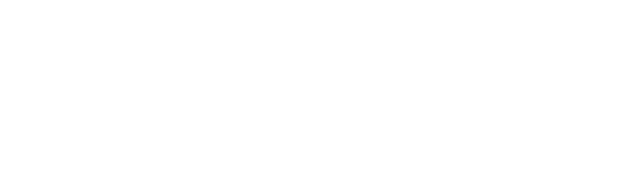 Integrative Coaching Logo White