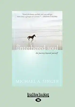The untethered soul book image.png Recommended Reading
